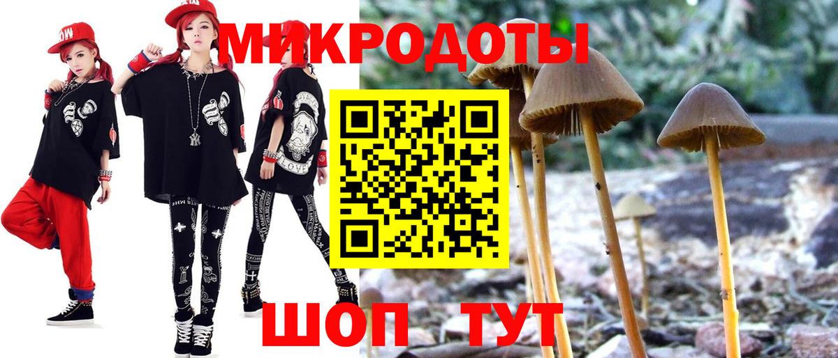 Псилоцибиновые грибы Cubensis Белово