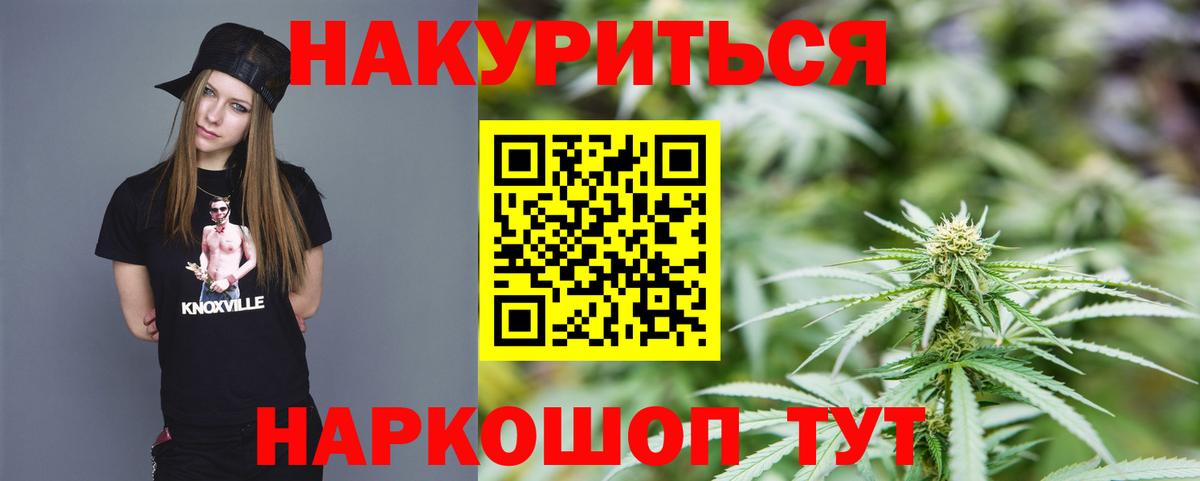 Бошки Шишки конопля Белово